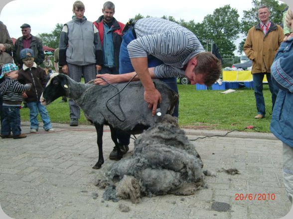 2010__3_.jpg