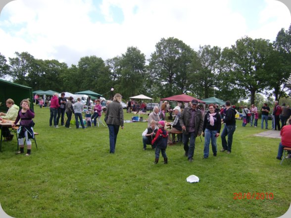 2010__65_.jpg