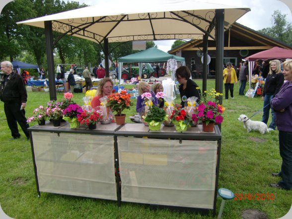 2010__70_.jpg