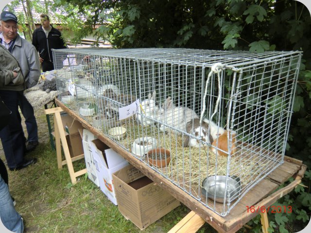 dorffest2013__55_.jpg