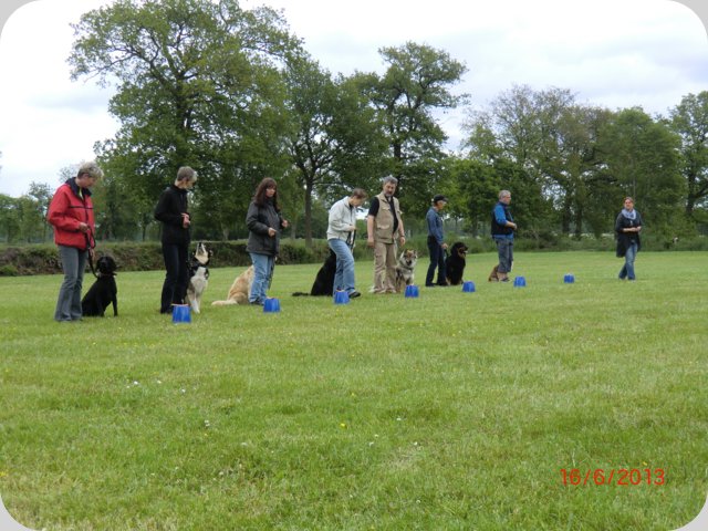 dorffest2013__73_.jpg