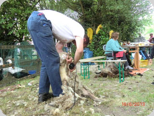 dorffest2013__76_.jpg