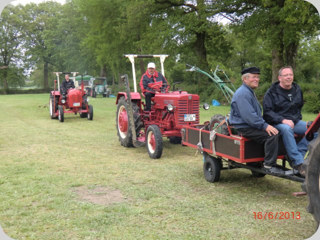 dorffest2013__81_.jpg
