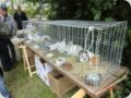 dorffest2013__55_.jpg