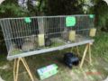 dorffest2013__56_.jpg