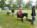 dorffest2013__62_.jpg