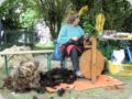 dorffest2013__77_.jpg