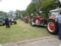 dorffest2013__80_.jpg