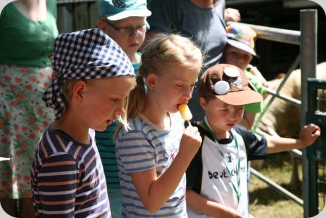 dorffest_2014__102_.jpg