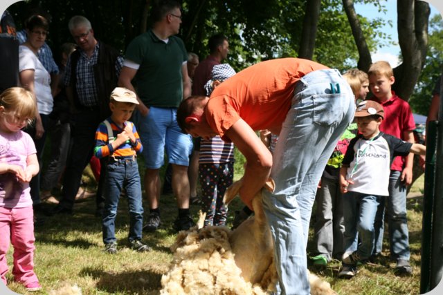 dorffest_2014__108_.jpg