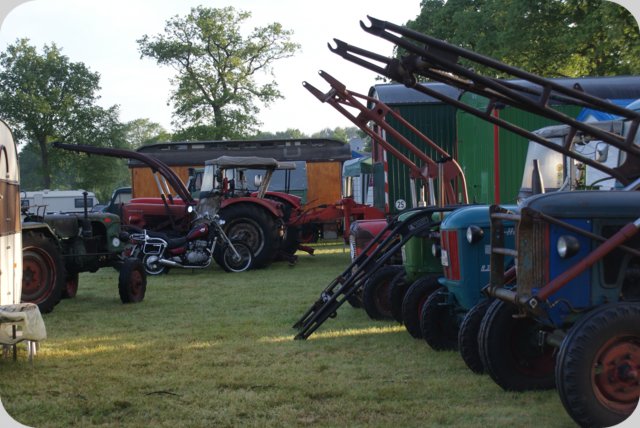 dorffest_2014__32_.jpg