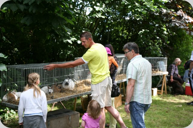 dorffest_2014__90_.jpg