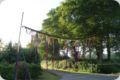 dorffest_2014__25_.jpg
