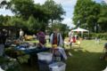 dorffest_2014__45_.jpg