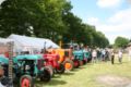 dorffest_2014__82_.jpg