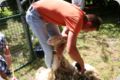 dorffest_2014__109_.jpg