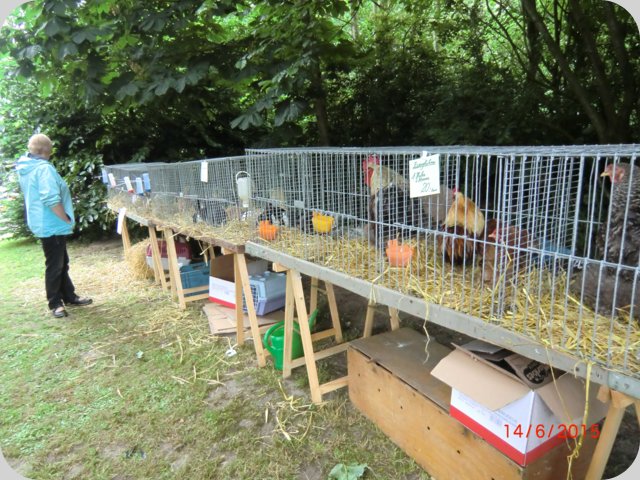 dorffest2015__115_.jpg