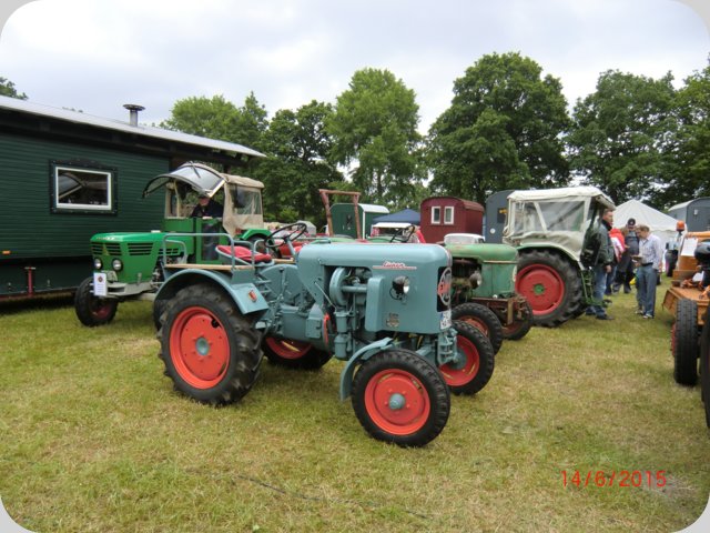 dorffest2015__121_.jpg