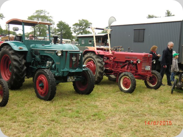 dorffest2015__129_.jpg