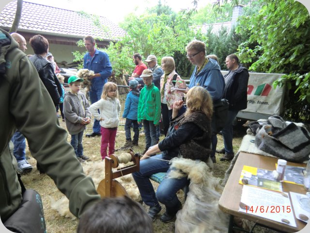 dorffest2015__141_.jpg