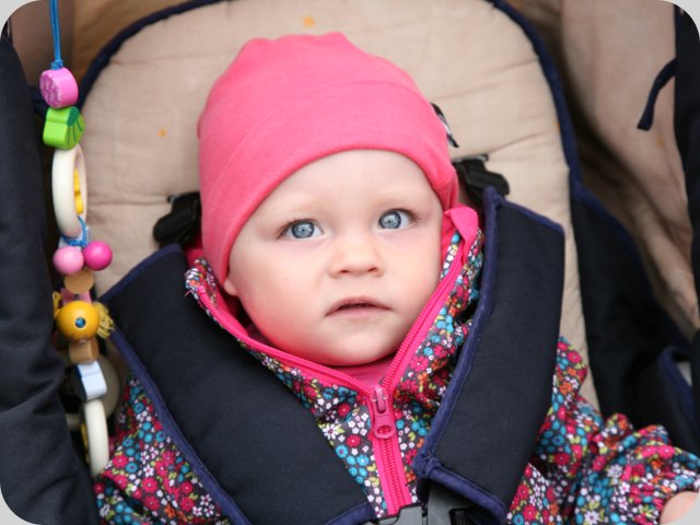 dorffest2015__242_.jpg