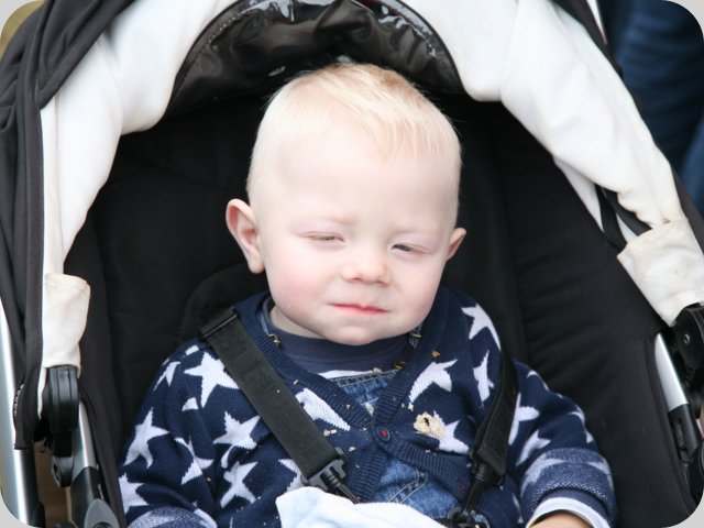 dorffest2015__243_.jpg