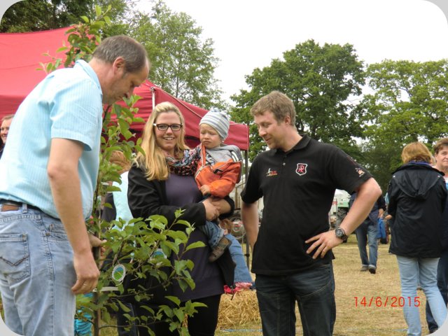 dorffest2015__250_.jpg