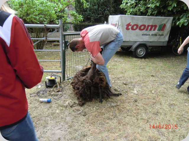 dorffest2015__314_.jpg