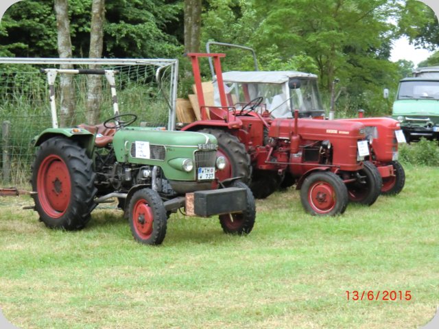 dorffest2015__63_.jpg