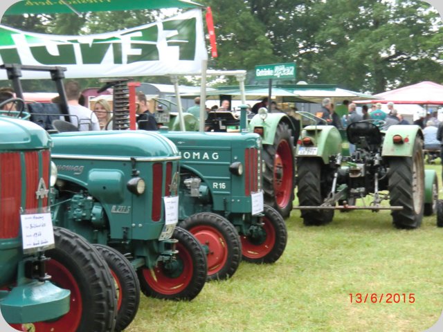 dorffest2015__64_.jpg