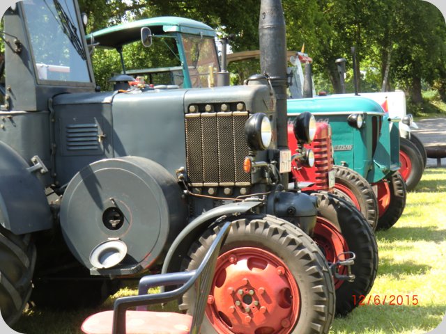 dorffest2015__6_.jpg