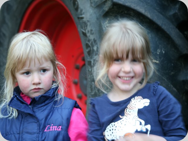 dorffest2015__78_.jpg