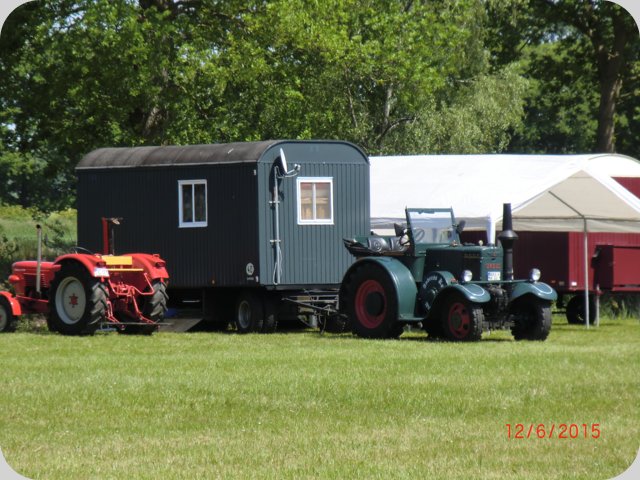 dorffest2015__8_.jpg