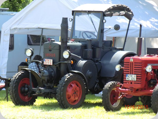 dorffest2015__9_.jpg