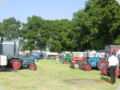 dorffest2015__25_.jpg