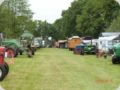 dorffest2015__62_.jpg