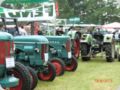 dorffest2015__64_.jpg