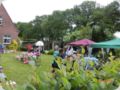 dorffest2015__114_.jpg
