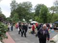 dorffest2015__136_.jpg