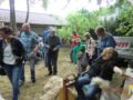 dorffest2015__143_.jpg