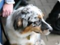 dorffest2015__285_.jpg