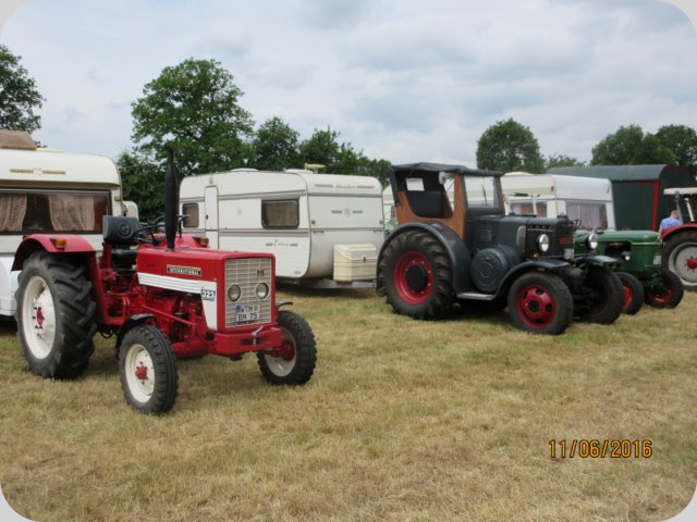 dorffest_2016__123_.jpg
