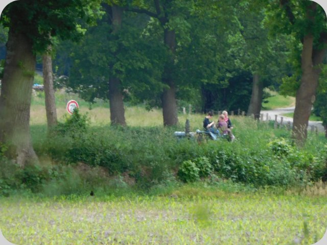 dorffest_2016__138_.jpg