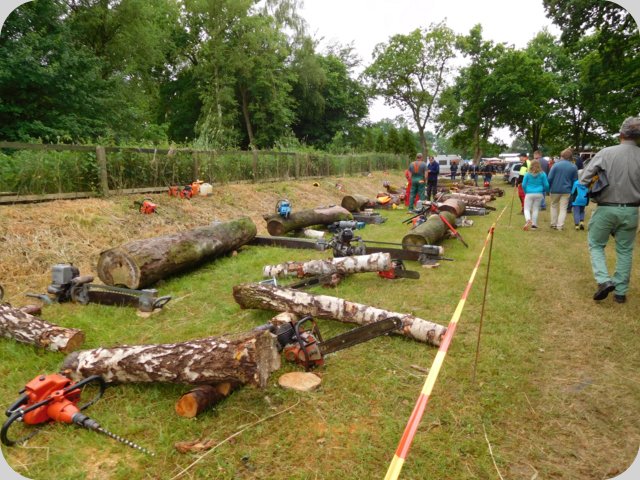 dorffest_2016__205_.jpg