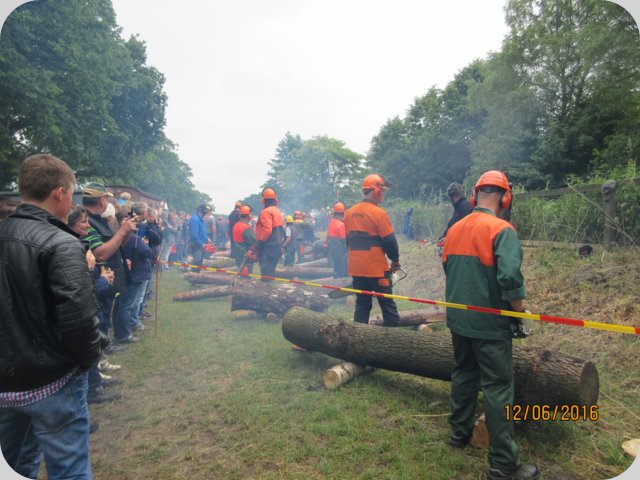 dorffest_2016__231_.jpg