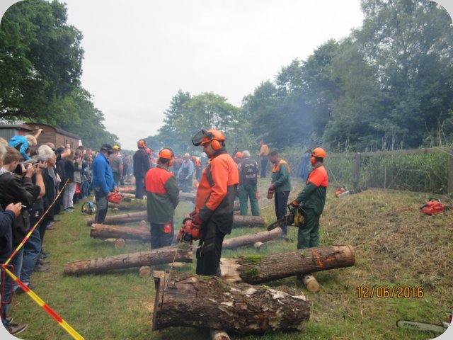 dorffest_2016__232_.jpg