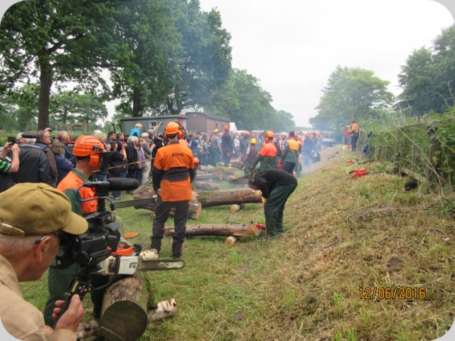 dorffest_2016__233_.jpg