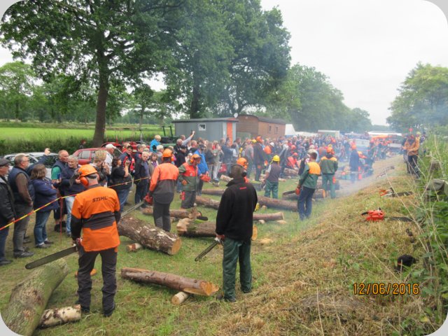 dorffest_2016__234_.jpg