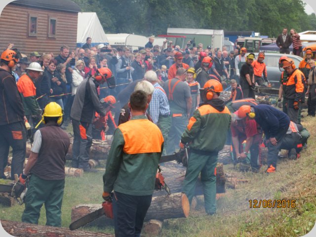 dorffest_2016__236_.jpg