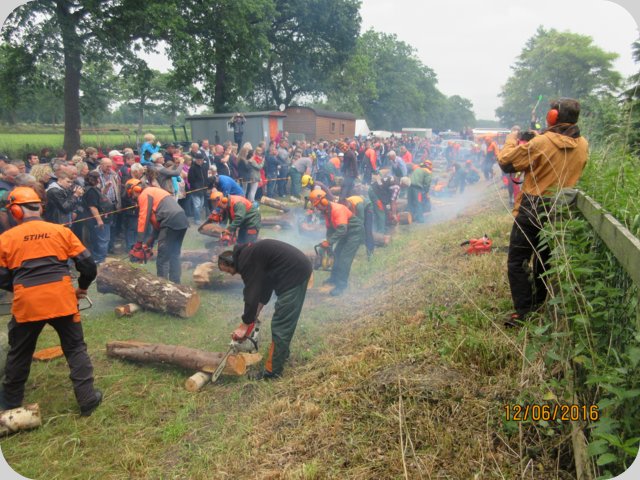 dorffest_2016__237_.jpg